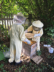 Schüler behandeln im Schöpfungsgarten im Studienseminar St. Michael Bienen gegen einen Schädlingsbefall.