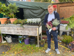 Florist Peter Konrad Ihle mit klassischen Erika und exotischem Currykraut.