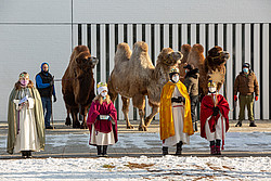 Sternsinger mit Kamelen